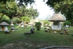DSC02018